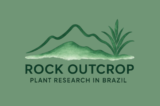 Logo Rock Outcrop